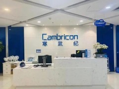 再亏5.4亿元！寒武纪半年报